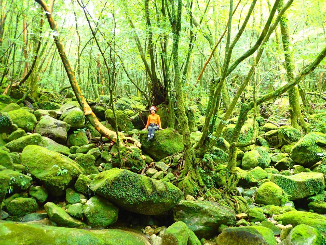 Yakushima Cottage Morino Fairy All Cotage With Open-Air Bath Exterior photo